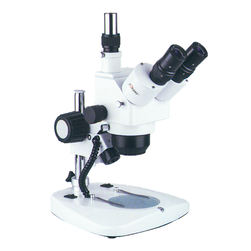 连续变倍体视显微镜  FORANT/泛特  80-8080-24