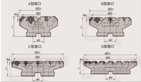 可转位铣削刀具-面铣刀具  FAHRION/飞日诺  250-C60-SN19-13